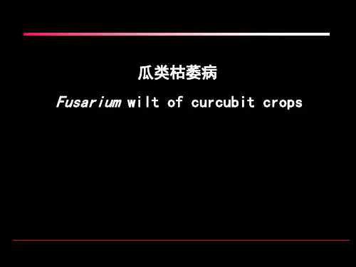 瓜类枯萎病