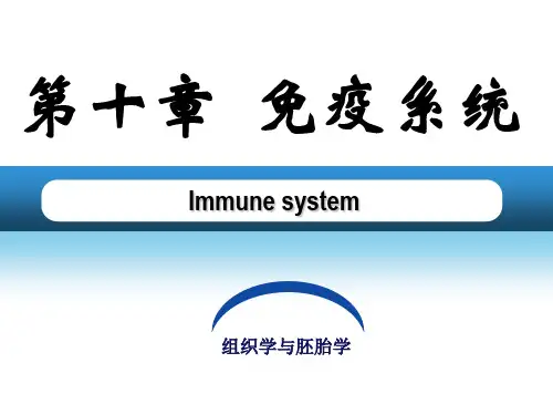 《组织学与胚胎学》课件第10章--免疫系统