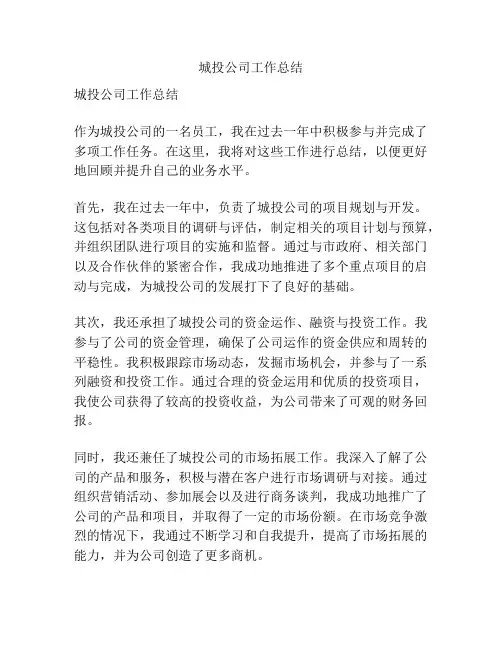 城投公司工作总结