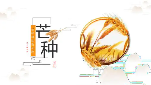 黄色简约中国二十四节气之芒种的介绍PPT模板课件
