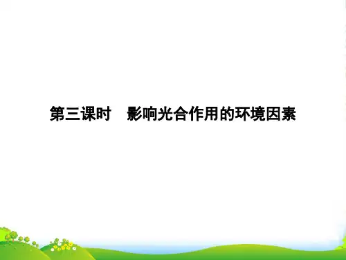 高中生物苏教版必修1课件：4.2.2 影响光合作用的环境因素