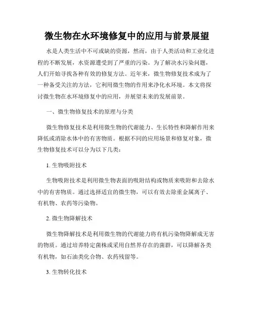 微生物在水环境修复中的应用与前景展望