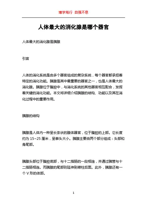 人体最大的消化腺是哪个器官