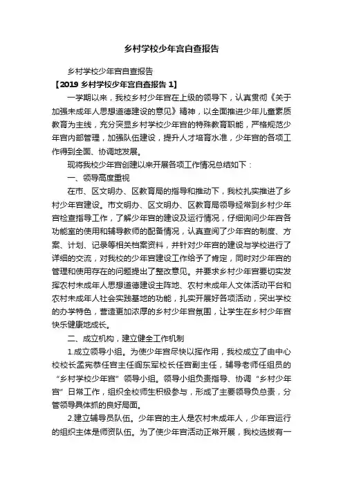 乡村学校少年宫自查报告