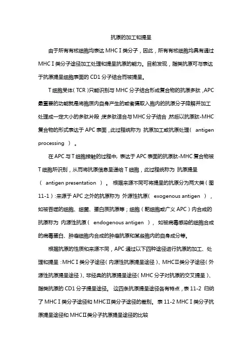 抗原的加工和提呈