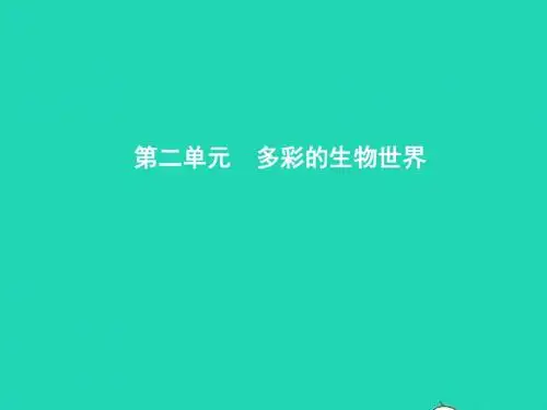 七年级生物上册 2.1.1 绿色植物的主要类群(第1课时 藻