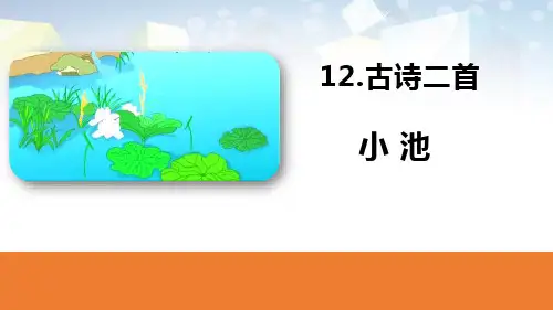 《小池》古诗二首PPT 图文
