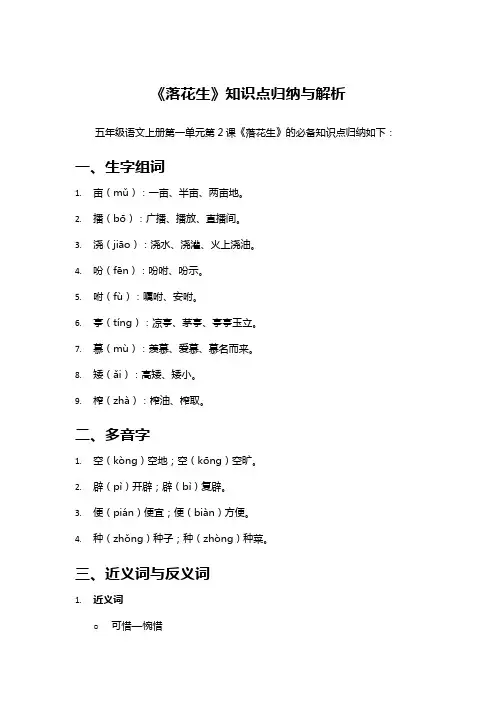 《落花生》知识点归纳与解析