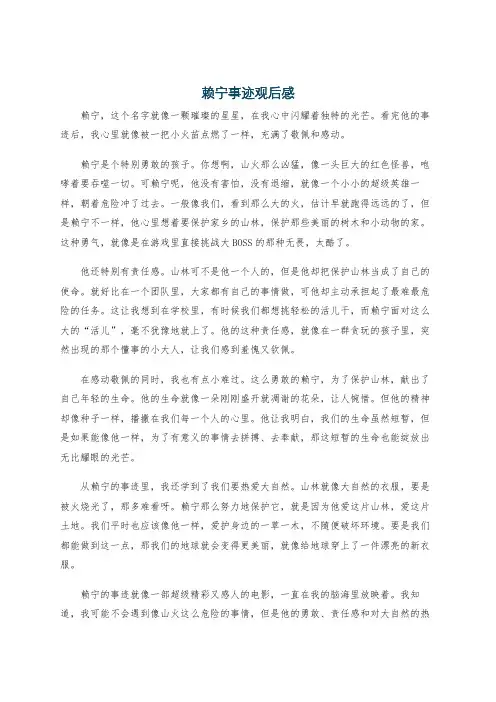 赖宁事迹观后感