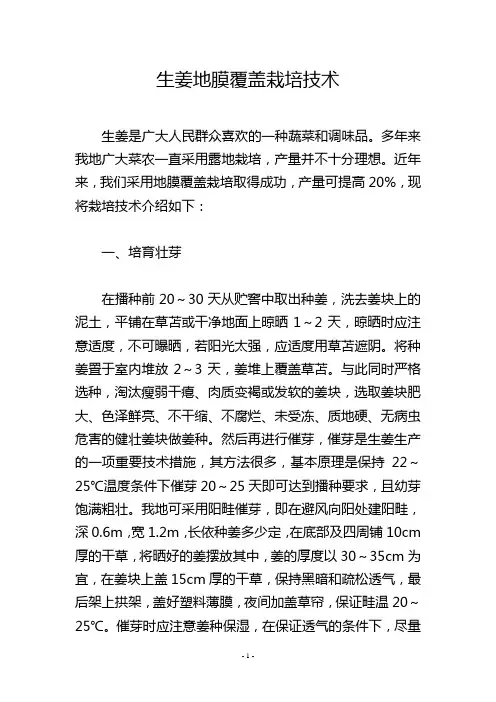 生姜地膜覆盖栽培技术