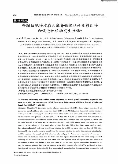 嗅鞘细胞移植在大鼠脊髓损伤处能够迁移和促进神经轴突生长吗？