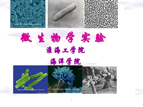 微生物学实验(详细介绍)