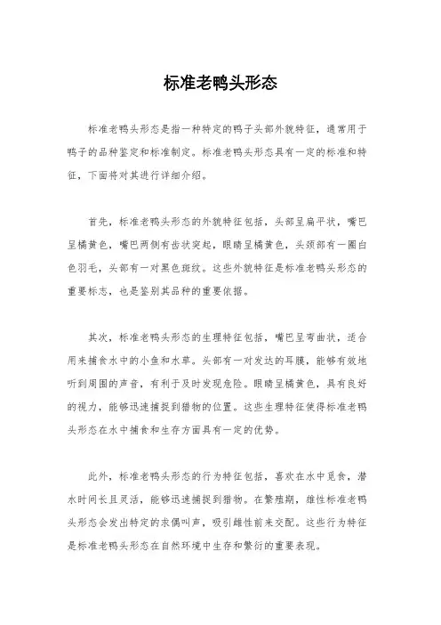 标准老鸭头形态
