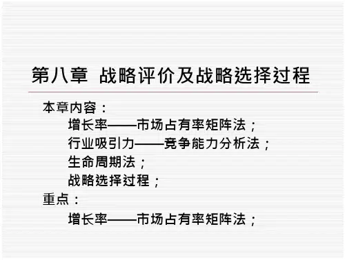 战略评价及战略选择过程19