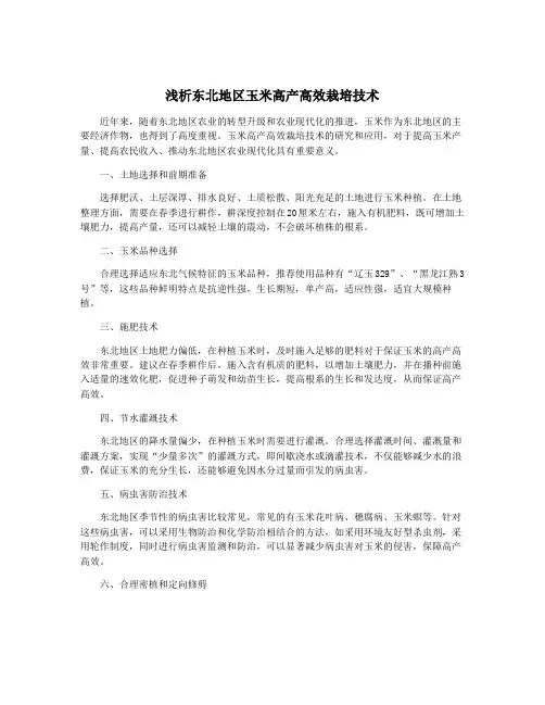 浅析东北地区玉米高产高效栽培技术