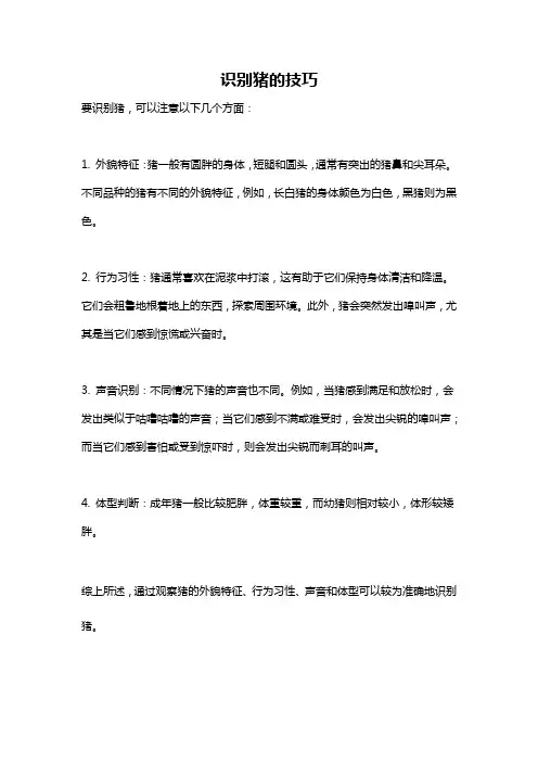 识别猪的技巧