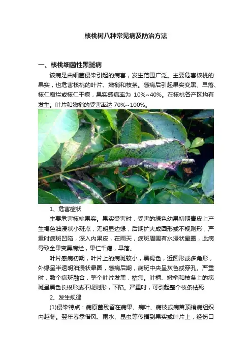 核桃树八种常见病及防治方法