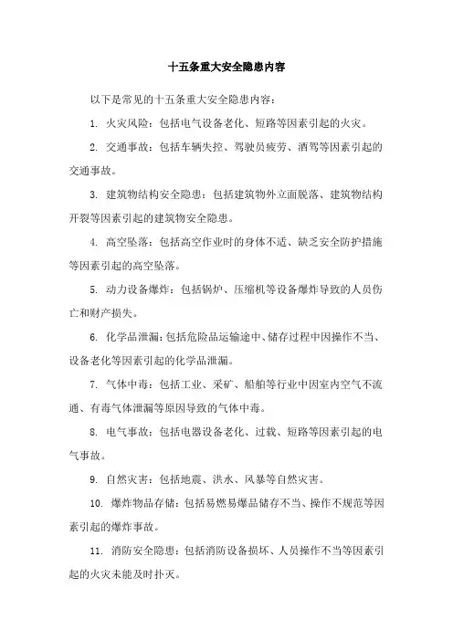 十五条重大安全隐患内容