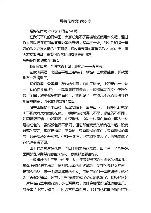 写梅花作文800字（精选54篇）