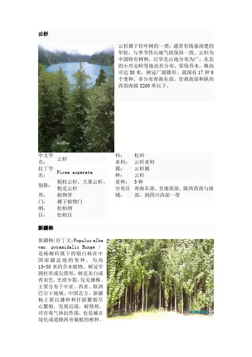 适合北方栽植的园林植物