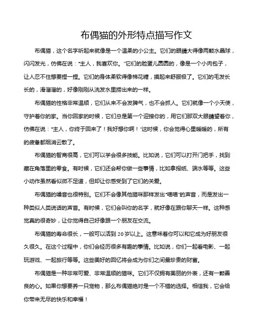 布偶猫的外形特点描写作文