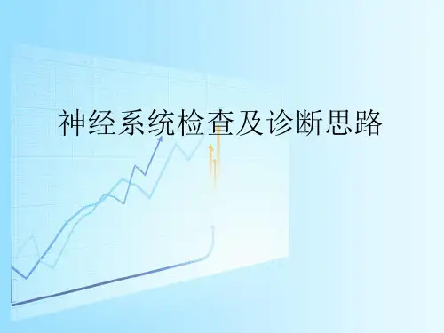 神经系统查体