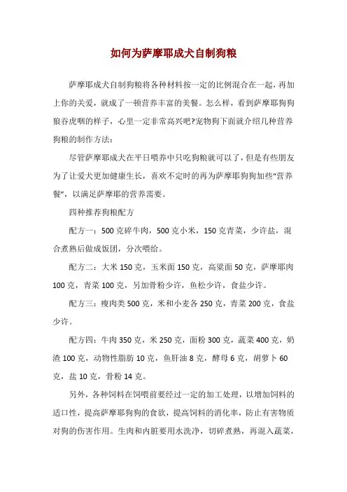 如何为萨摩耶成犬自制狗粮