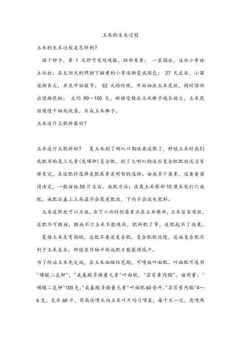 玉米的生长过程 