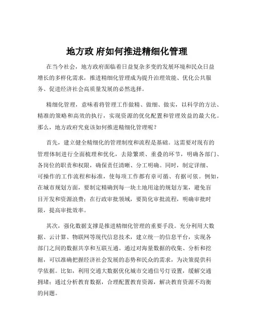 地方政 府如何推进精细化管理