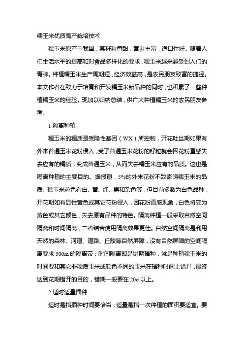 糯玉米优质高产栽培技术