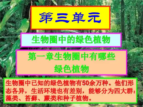 新藻类苔藓和蕨类植物公开课一等奖课件省赛课获奖课件