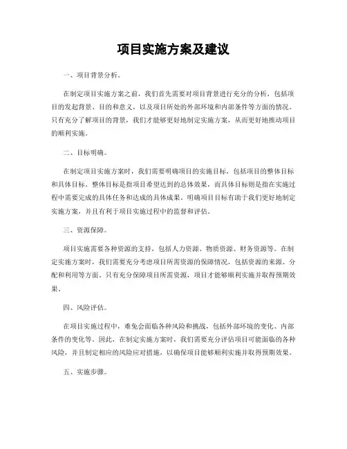 项目实施方案及建议