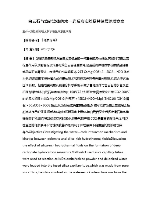 白云石与富硅流体的水—岩反应实验及其储层地质意义