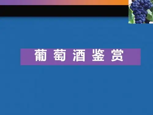葡萄酒品鉴