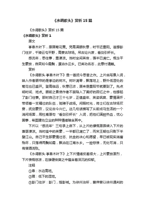 《水调歌头》赏析15篇
