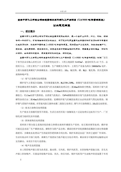 环评项目详细公参