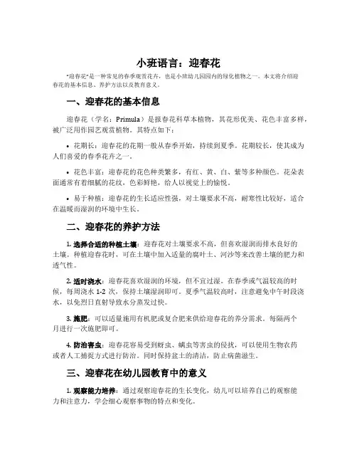 小班语言：迎春花