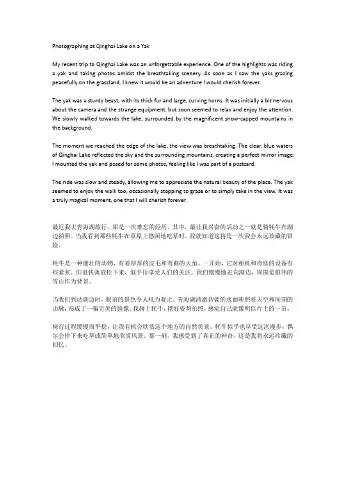 去青海湖骑牦牛拍照作文