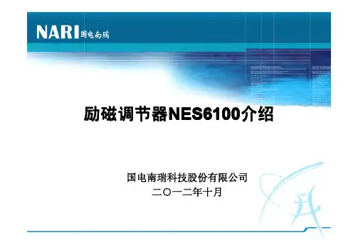 新一代励磁调节器NES介绍