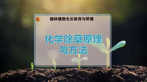 化学除草原理与方法
