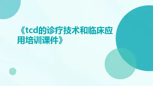 TCD的诊疗技术和临床应用培训课件