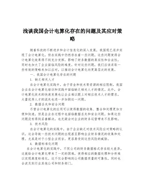 浅谈我国会计电算化存在的问题及其应对策略