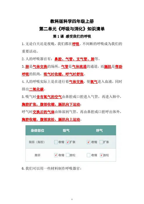 教科版科学六年级上册第二单元《呼吸与消化》知识点
