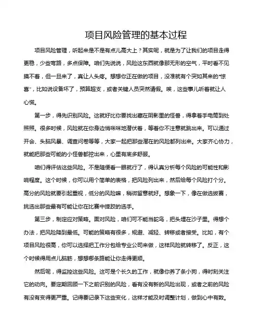 项目风险管理的基本过程