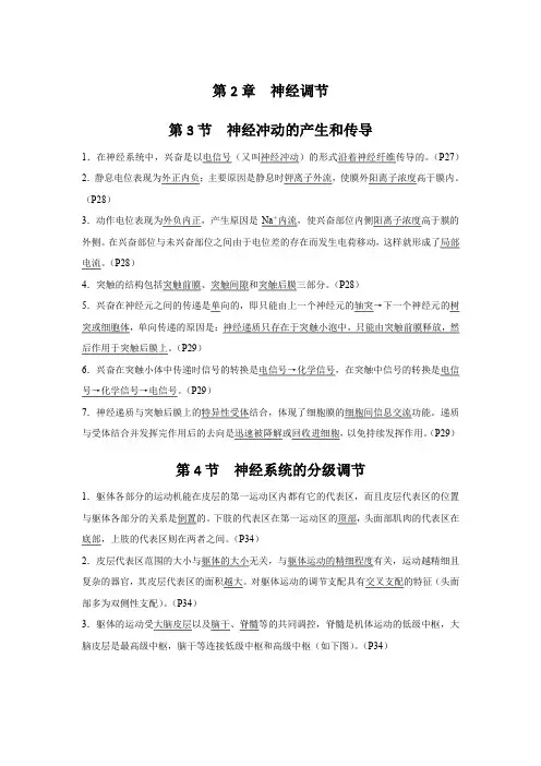 【必背知识点】人教生物选择性必修1第2章 神经调节 第3-4节
