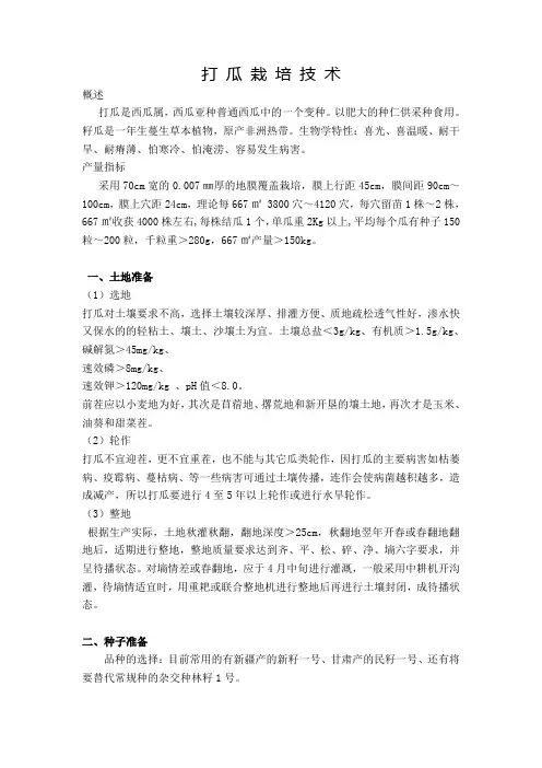 打瓜栽培技术