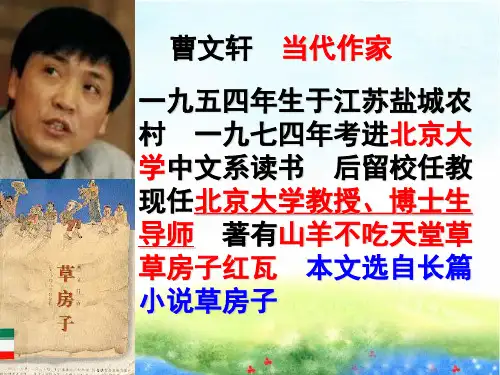 《孤独之旅》ppt课件