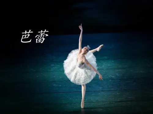 人音版高中音乐选修(音乐与舞蹈)芭蕾_课件1