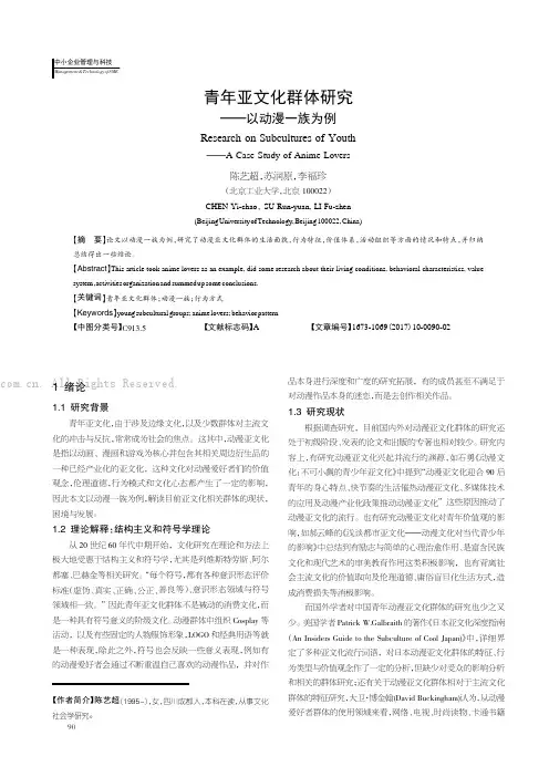 青年亚文化群体研究