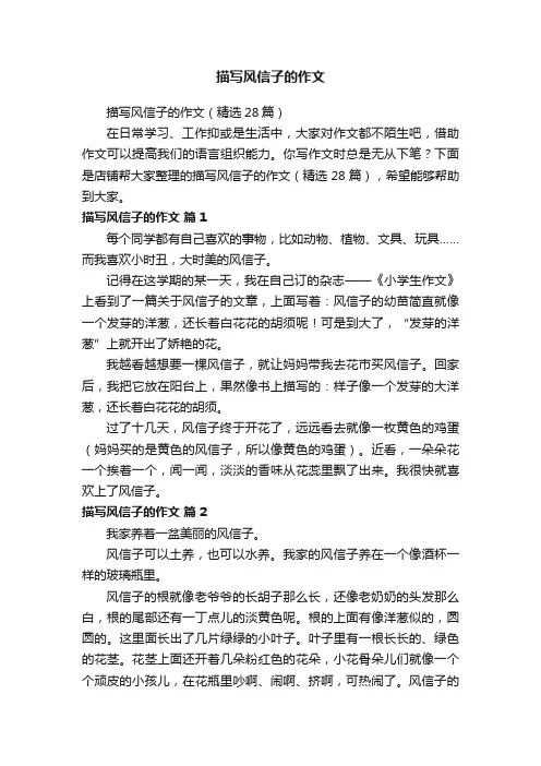 描写风信子的作文